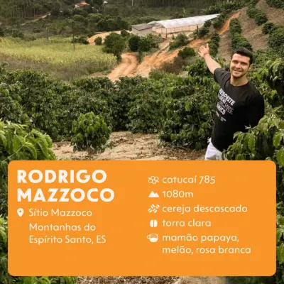 Rodrigo Mazzoco — Dose Coffee Roasters