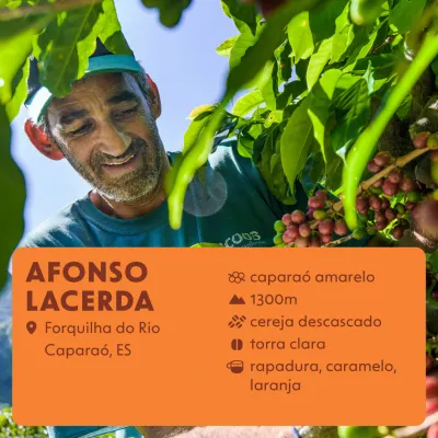 Afonso Lacerda — Dose Coffee Roasters