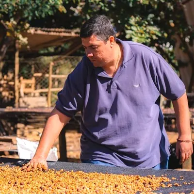 Catuaí do Andrézão — ROAST Cafés