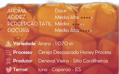 Favo — Cafetto Coffee Roasters