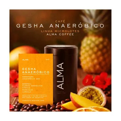 Gesha Anaeróbico — Alma Coffee