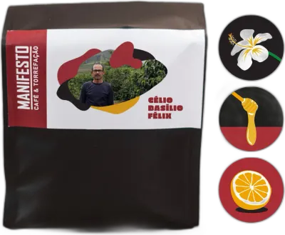 Catuaí 44, da torrefação Manifesto Café