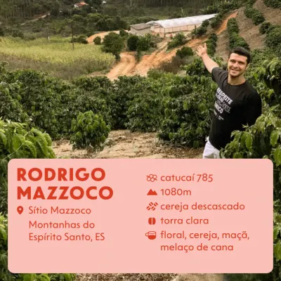 Rodrigo Mazzoco — Dose Coffee Roasters