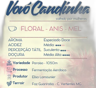 Vovó Candinha — Cafetto Coffee Roasters