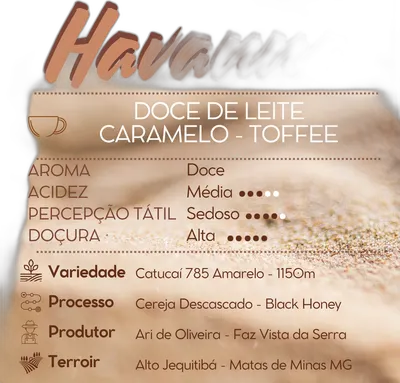 Havanna — Cafetto Coffee Roasters