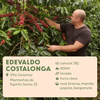 Edevaldo Costalonga — Dose Coffee Roasters