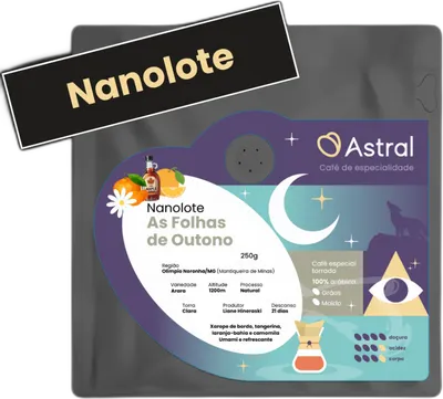 Nanolote As Folhas de Outono