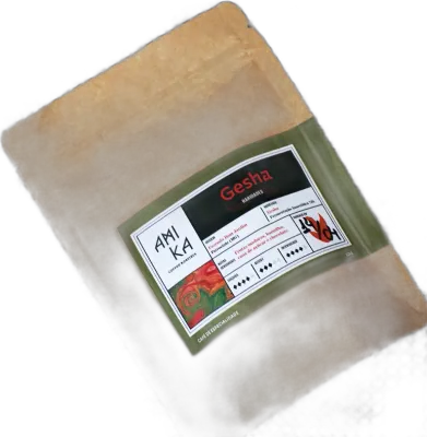 Gesha, da torrefação Amika Coffeehouse