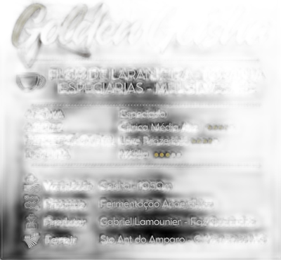 Golden Geisha — Cafetto Coffee Roasters