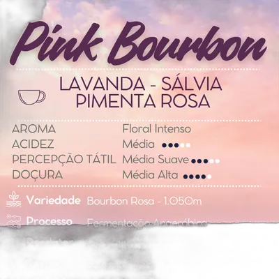 Café Pink Bourbon — Cafetto Coffee Roasters
