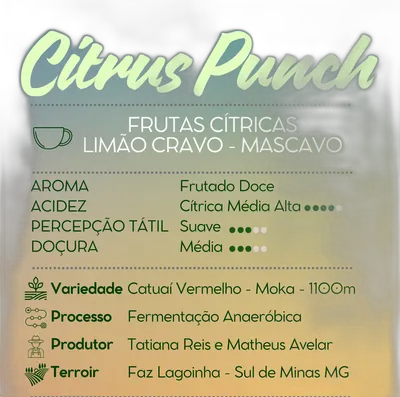 Citrus Punch — Cafetto Coffee Roasters